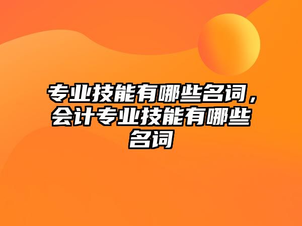 專業技能有哪些名詞，會計專業技能有哪些名詞