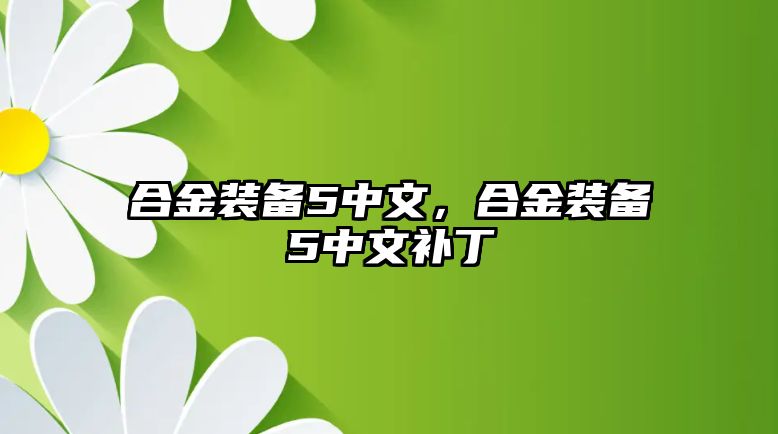 合金裝備5中文，合金裝備5中文補丁