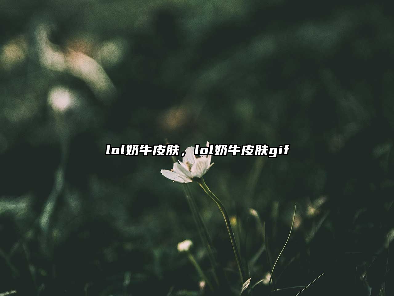 lol奶牛皮膚，lol奶牛皮膚gif