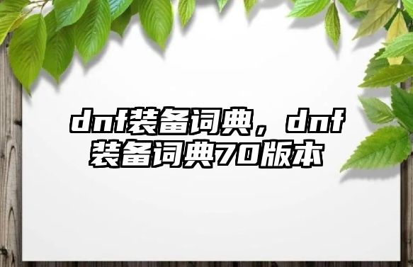 dnf裝備詞典，dnf裝備詞典70版本