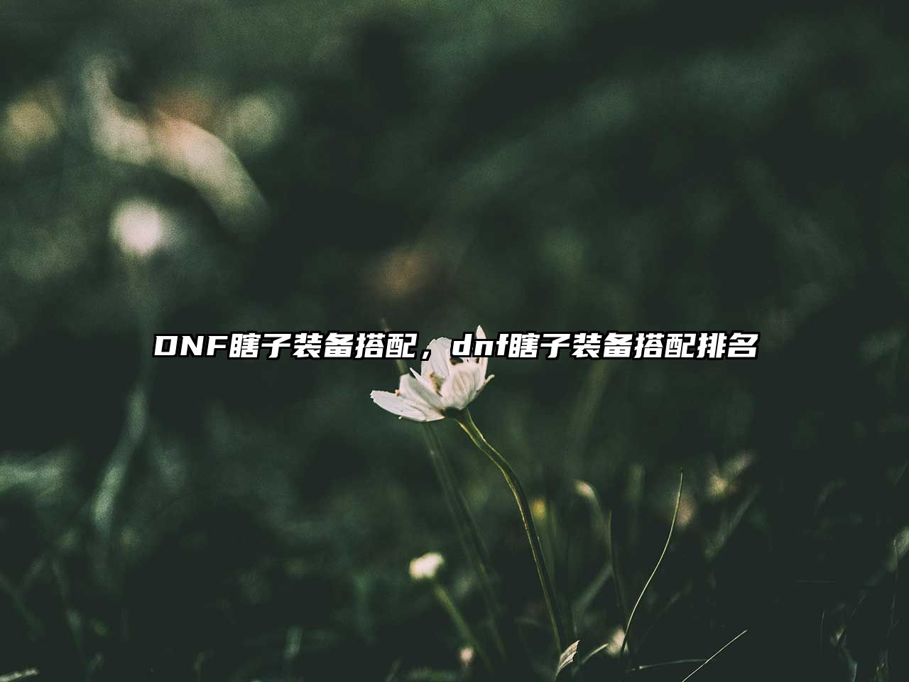 DNF瞎子裝備搭配，dnf瞎子裝備搭配排名