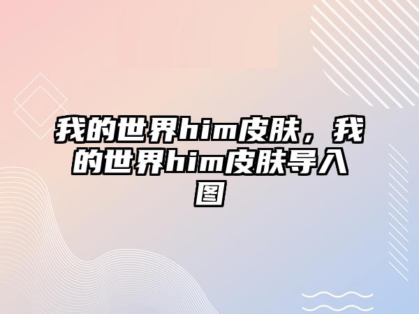 我的世界him皮膚，我的世界him皮膚導(dǎo)入圖