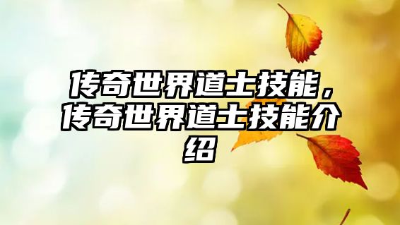 傳奇世界道士技能，傳奇世界道士技能介紹