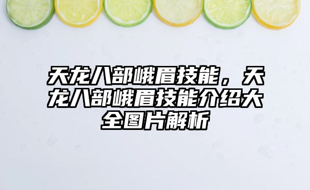 天龍八部峨眉技能，天龍八部峨眉技能介紹大全圖片解析