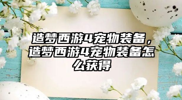 造夢西游4寵物裝備，造夢西游4寵物裝備怎么獲得