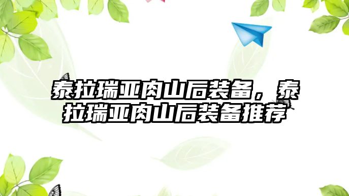 泰拉瑞亞肉山后裝備，泰拉瑞亞肉山后裝備推薦