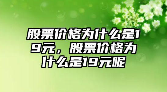 股票價格為什么是19元，股票價格為什么是19元呢