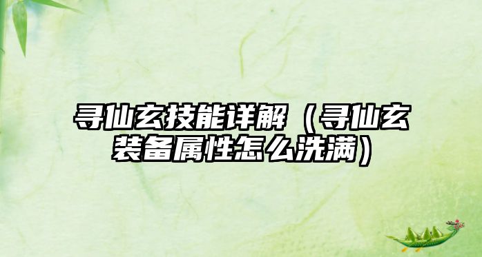 尋仙玄技能詳解（尋仙玄裝備屬性怎么洗滿）