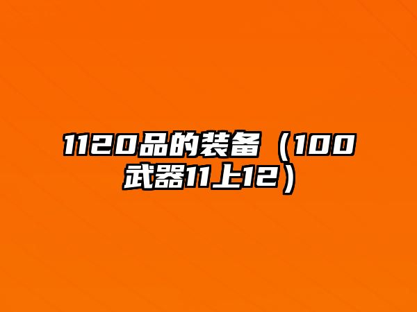 1120品的裝備（100武器11上12）