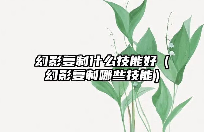 幻影復(fù)制什么技能好（幻影復(fù)制哪些技能）