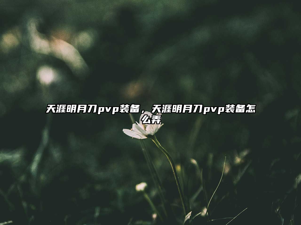 天涯明月刀pvp裝備，天涯明月刀pvp裝備怎么弄