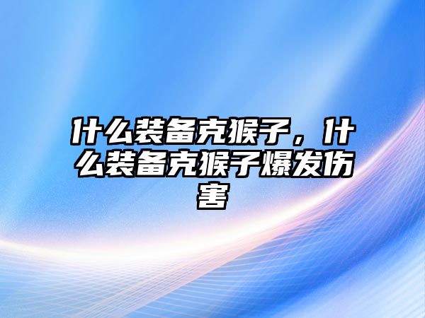 什么裝備克猴子，什么裝備克猴子爆發傷害