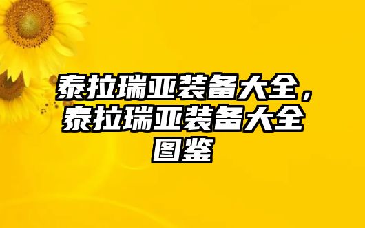 泰拉瑞亞裝備大全，泰拉瑞亞裝備大全圖鑒