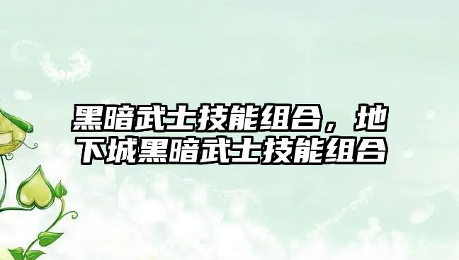 黑暗武士技能組合，地下城黑暗武士技能組合