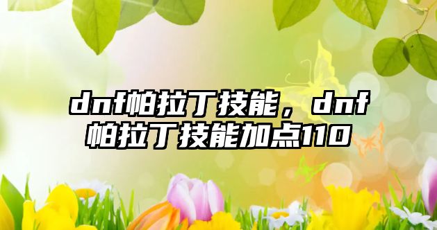 dnf帕拉丁技能，dnf帕拉丁技能加點110