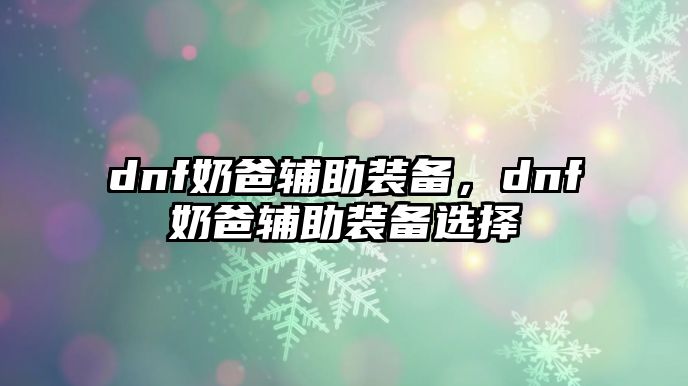 dnf奶爸輔助裝備，dnf奶爸輔助裝備選擇