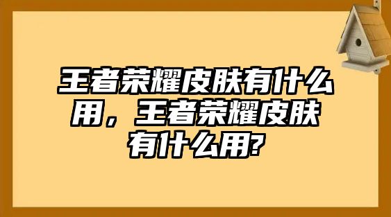 王者榮耀皮膚有什么用，王者榮耀皮膚有什么用?