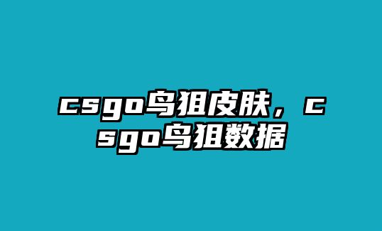 csgo鳥狙皮膚，csgo鳥狙數據