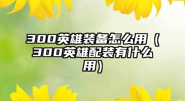 300英雄裝備怎么用（300英雄配裝有什么用）