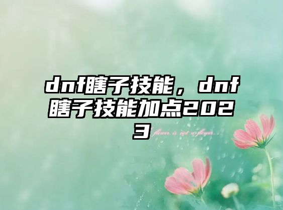 dnf瞎子技能，dnf瞎子技能加點(diǎn)2023