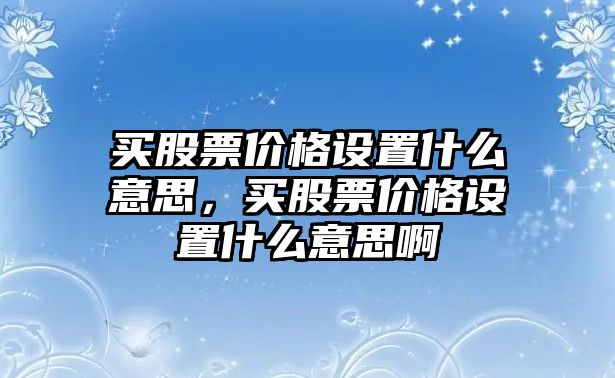 買股票價格設置什么意思，買股票價格設置什么意思啊