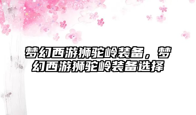 夢幻西游獅駝嶺裝備，夢幻西游獅駝嶺裝備選擇