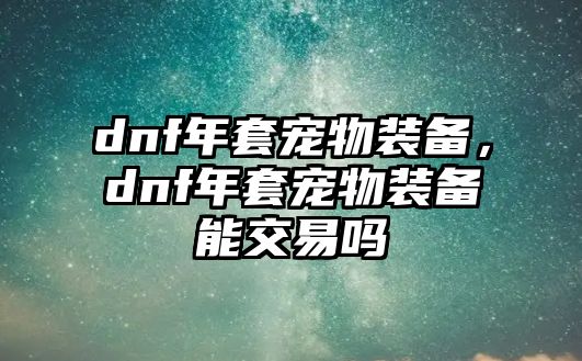 dnf年套寵物裝備，dnf年套寵物裝備能交易嗎