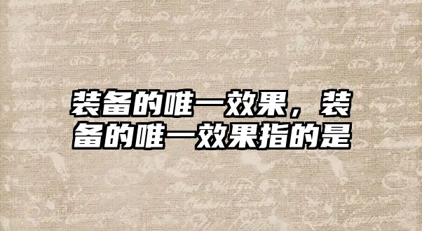 裝備的唯一效果，裝備的唯一效果指的是