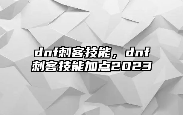 dnf刺客技能，dnf刺客技能加點(diǎn)2023