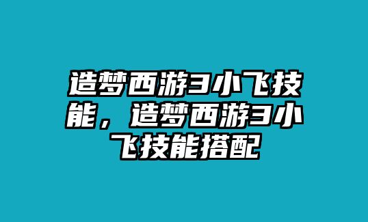 造夢西游3小飛技能，造夢西游3小飛技能搭配