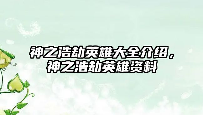 神之浩劫英雄大全介紹，神之浩劫英雄資料