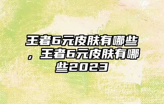 王者6元皮膚有哪些，王者6元皮膚有哪些2023