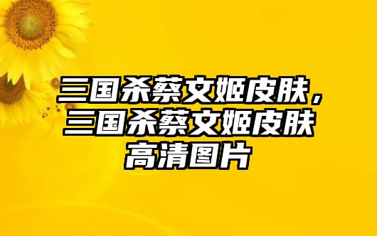 三國殺蔡文姬皮膚，三國殺蔡文姬皮膚高清圖片