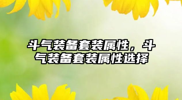 斗氣裝備套裝屬性，斗氣裝備套裝屬性選擇