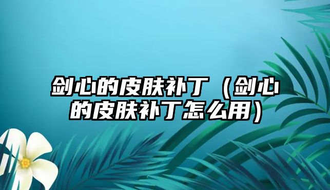 劍心的皮膚補(bǔ)丁（劍心的皮膚補(bǔ)丁怎么用）