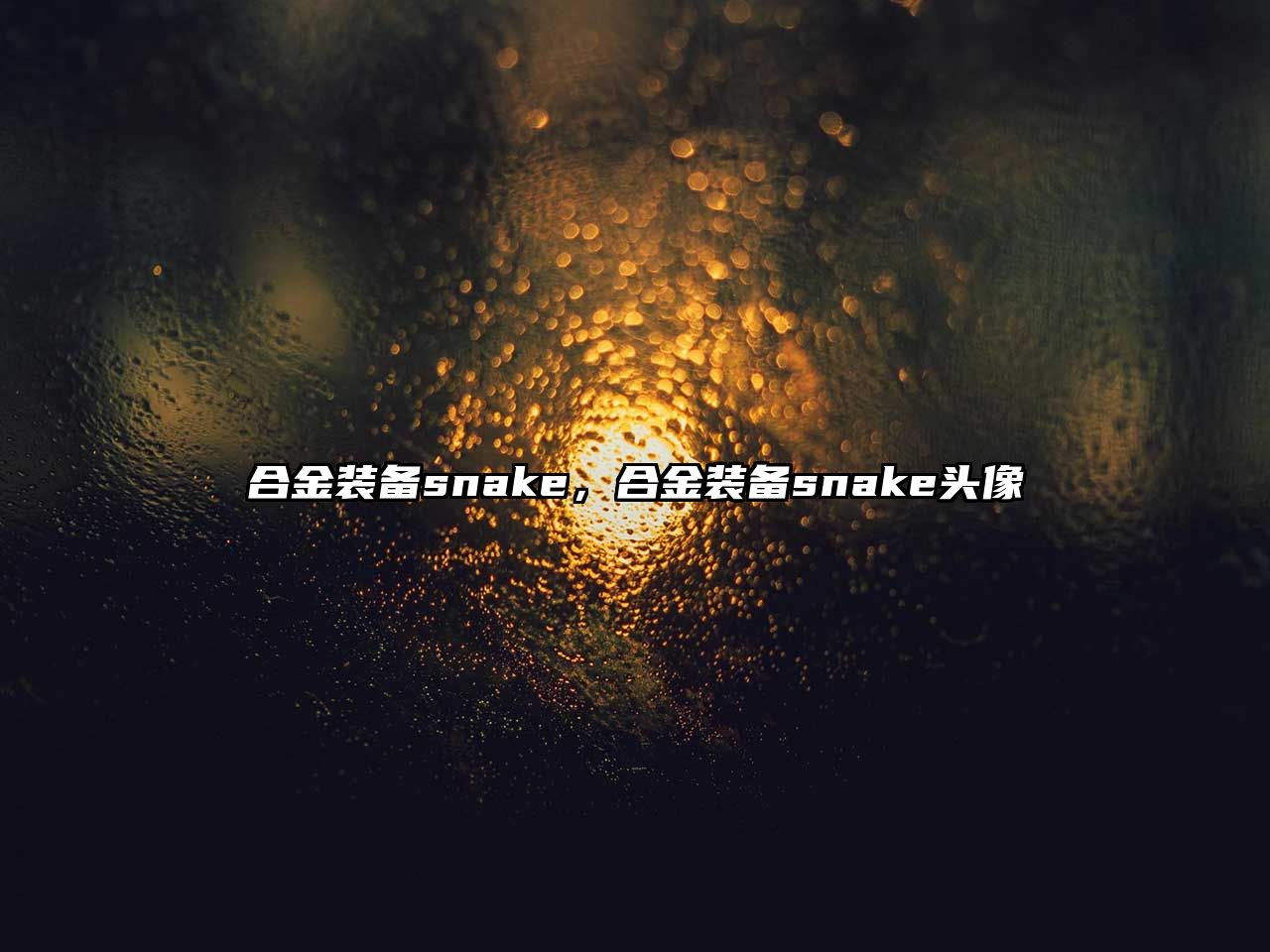 合金裝備snake，合金裝備snake頭像