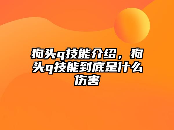 狗頭q技能介紹，狗頭q技能到底是什么傷害