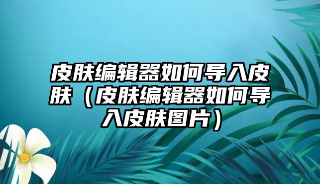 皮膚編輯器如何導入皮膚（皮膚編輯器如何導入皮膚圖片）