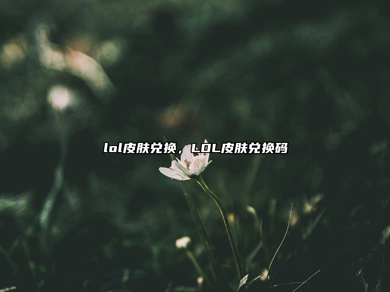 lol皮膚兌換，LOL皮膚兌換碼