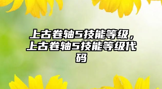 上古卷軸5技能等級，上古卷軸5技能等級代碼