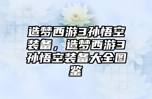 造夢西游3孫悟空裝備，造夢西游3孫悟空裝備大全圖鑒