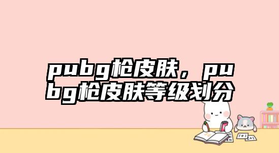 pubg槍皮膚，pubg槍皮膚等級劃分