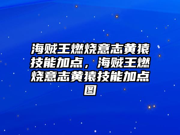 海賊王燃燒意志黃猿技能加點，海賊王燃燒意志黃猿技能加點圖