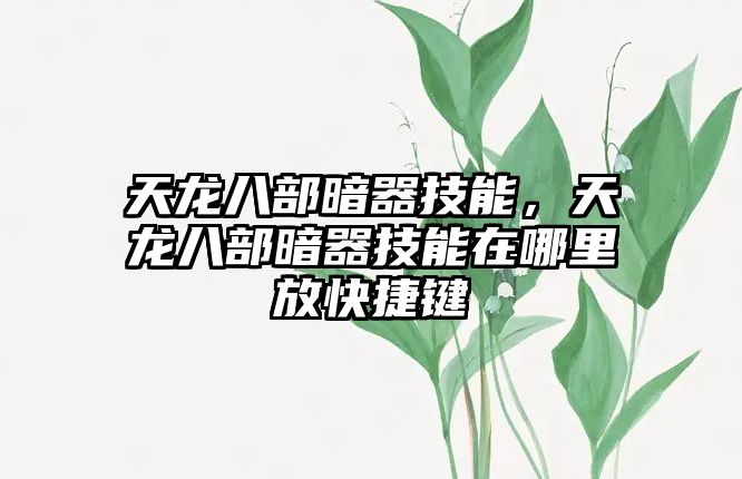 天龍八部暗器技能，天龍八部暗器技能在哪里放快捷鍵