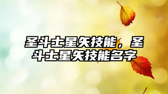 圣斗士星矢技能，圣斗士星矢技能名字