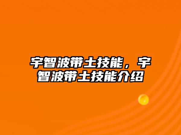 宇智波帶土技能，宇智波帶土技能介紹