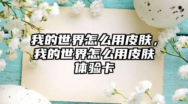 我的世界怎么用皮膚，我的世界怎么用皮膚體驗卡