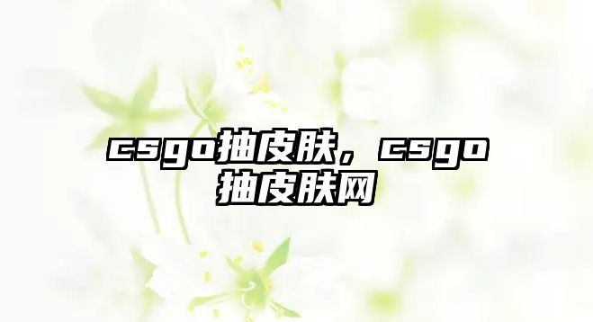 csgo抽皮膚，csgo抽皮膚網