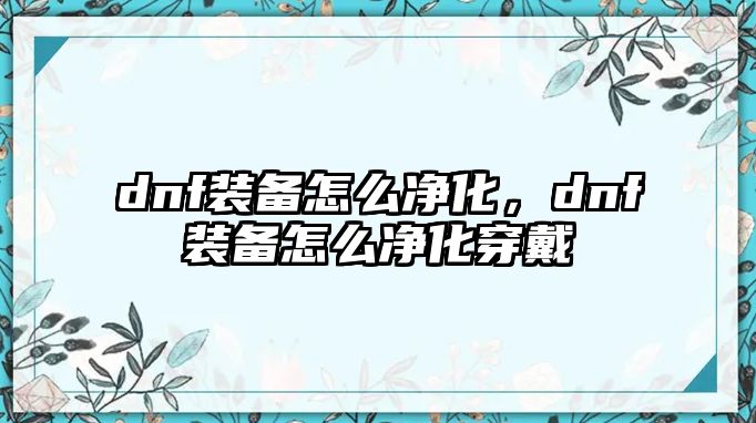 dnf裝備怎么凈化，dnf裝備怎么凈化穿戴