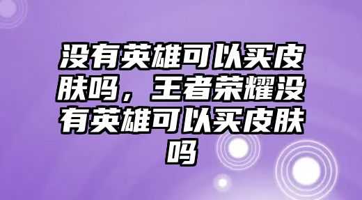 沒有英雄可以買皮膚嗎，王者榮耀沒有英雄可以買皮膚嗎